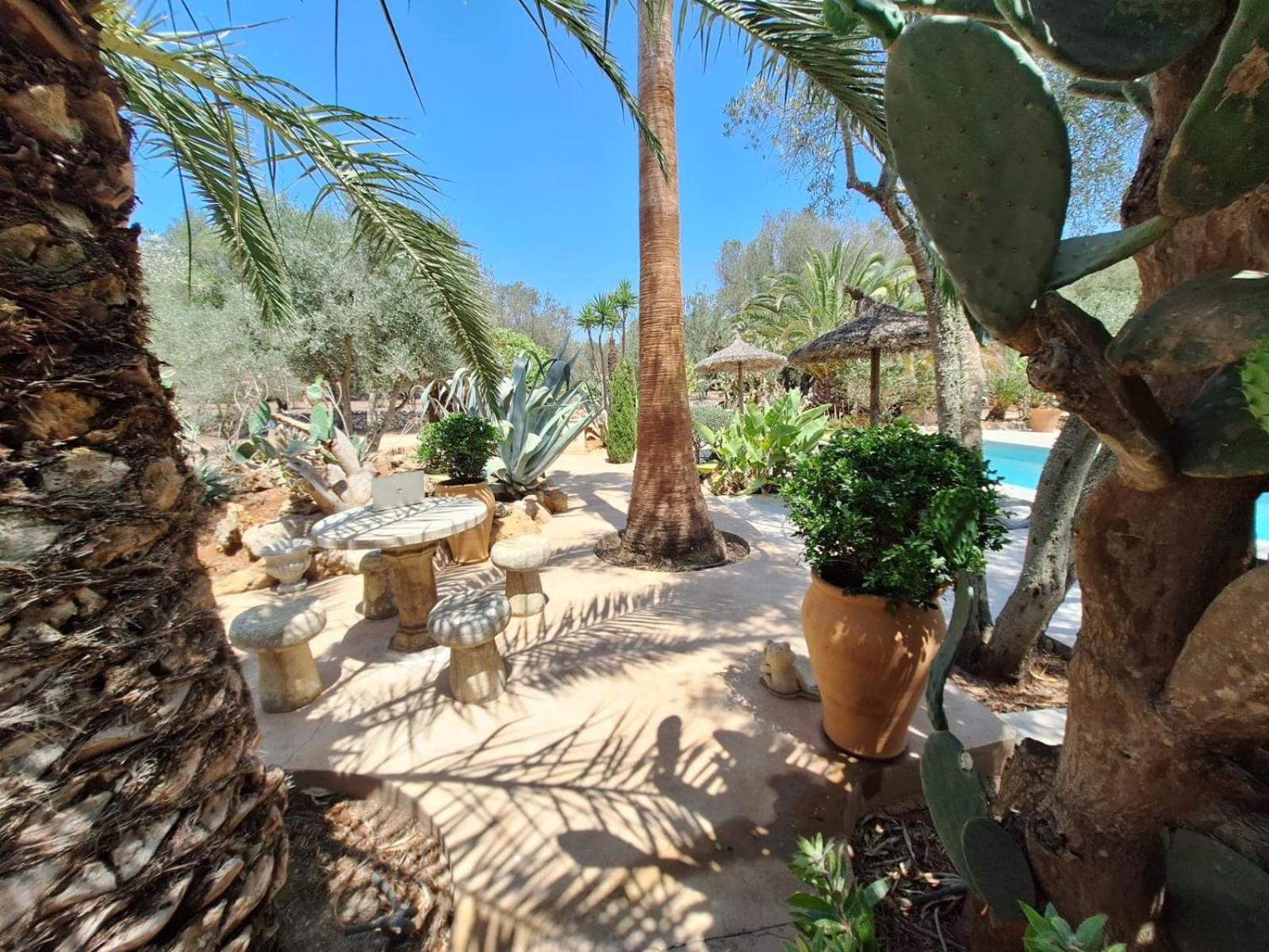 Redonda 2 Vakantiehuis Costitx (Mallorca)